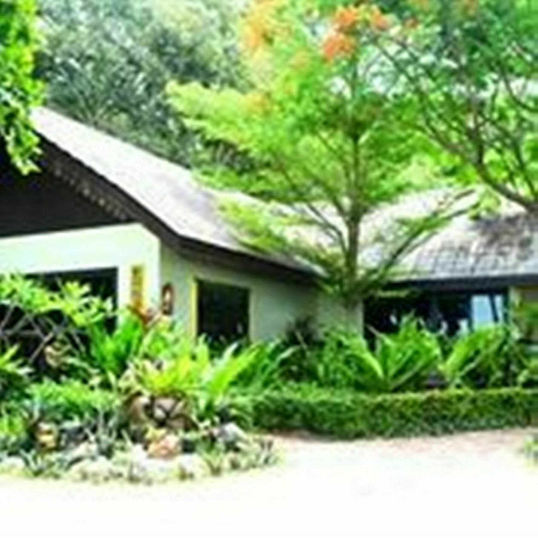 Paradise Pearl Bungalows Phi Phi Don Exterior photo